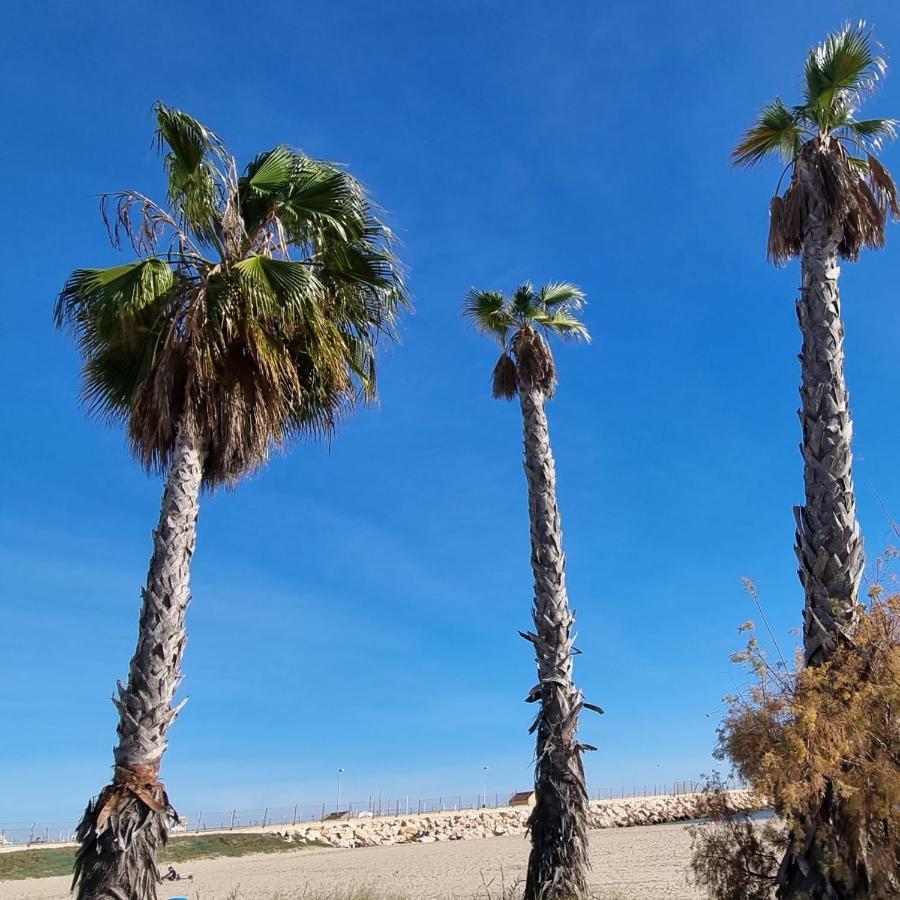Apartamenty Deluxe - Los Naufragos -Torrevieja Costa Blanca Eksteriør billede